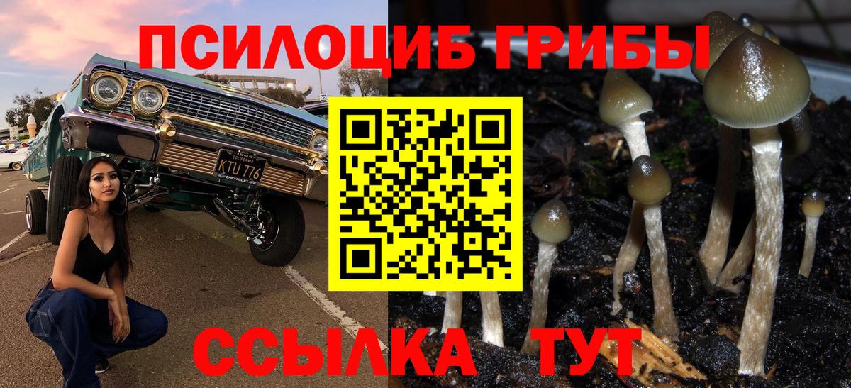 Галлюциногенные грибы MAGIC MUSHROOMS Тельмана